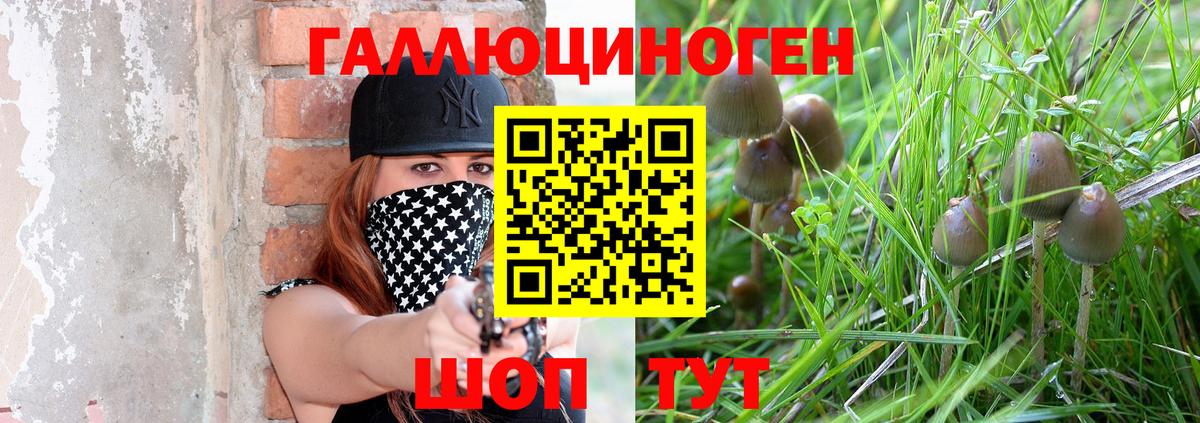 Псилоцибиновые грибы MAGIC MUSHROOMS  Вход с VPN  Каспийск 